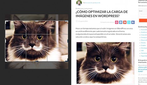 Imagen de ¿Cómo adapta WordPress las imágenes a su plantilla?