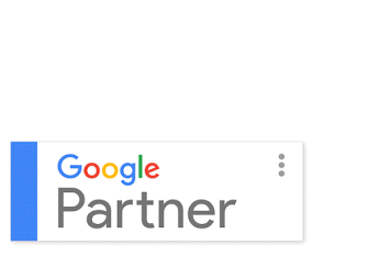 Google Partner insignia