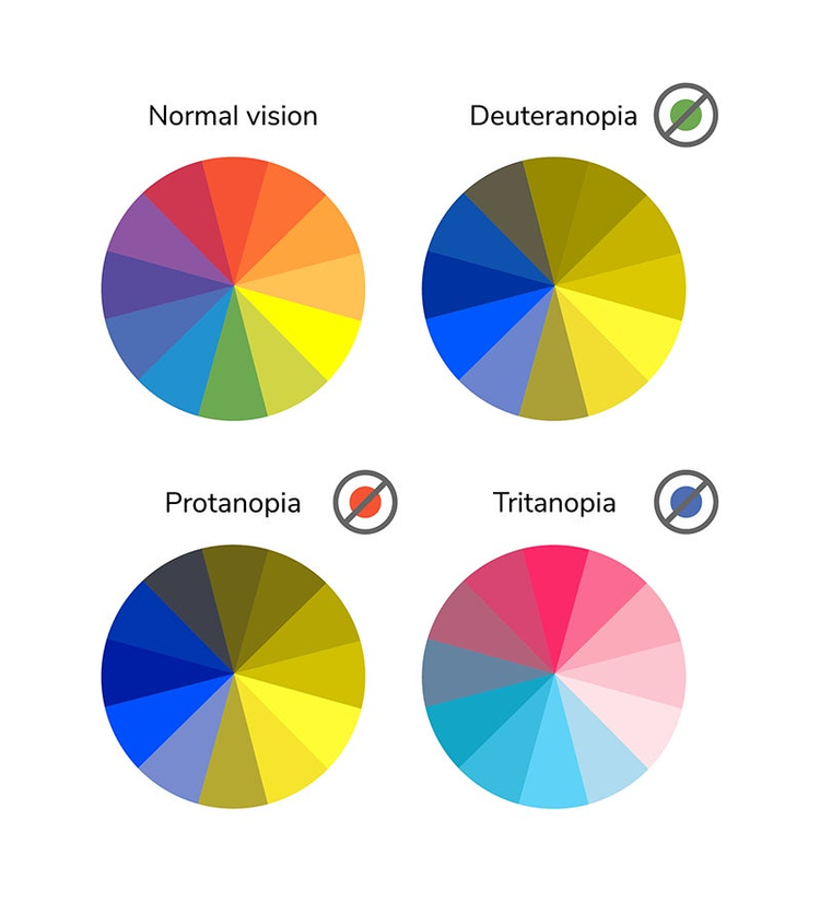 Ejemplo de cómo ven los colores las personas con daltonismo